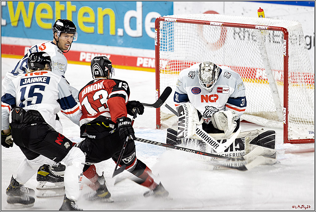 PENNY DEL;  Koelner Haie - Nuernberg Ice Tiger; Koeln, 21.09.2021